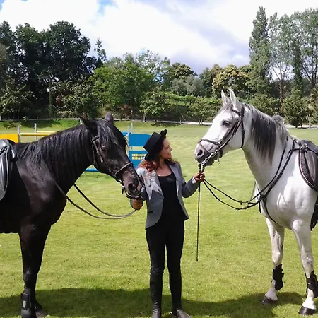 Quinta Do Padrao * Penafiel