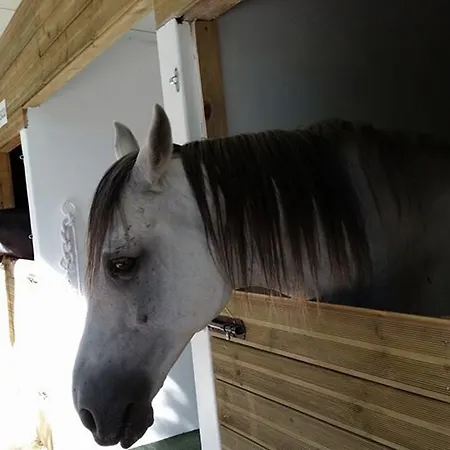 Hétvégi ház Quinta Do Padrao *