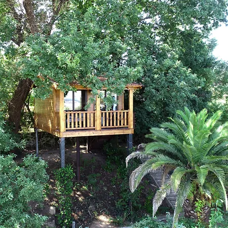 Quinta Do Padrao Landhuis Penafiel