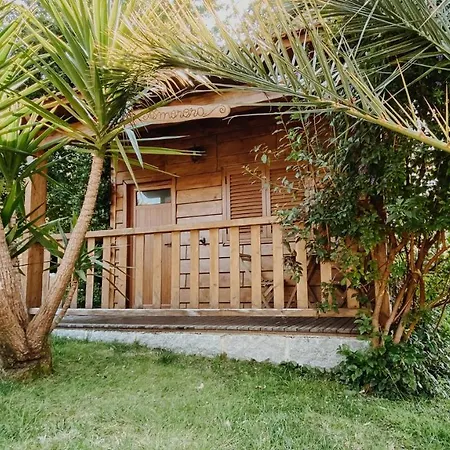 Quinta Do Padrao Penafiel