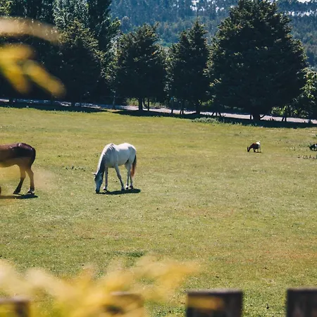 Hétvégi ház Quinta Do Padrao