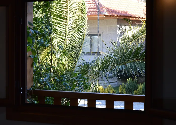 Casa de Campo Quinta Do Padrao Penafiel