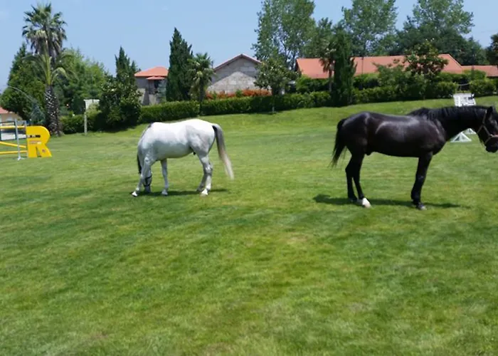Casa de Campo Quinta Do Padrao *