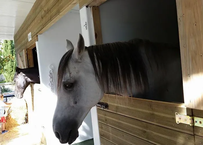 Casa de Campo Quinta Do Padrao *