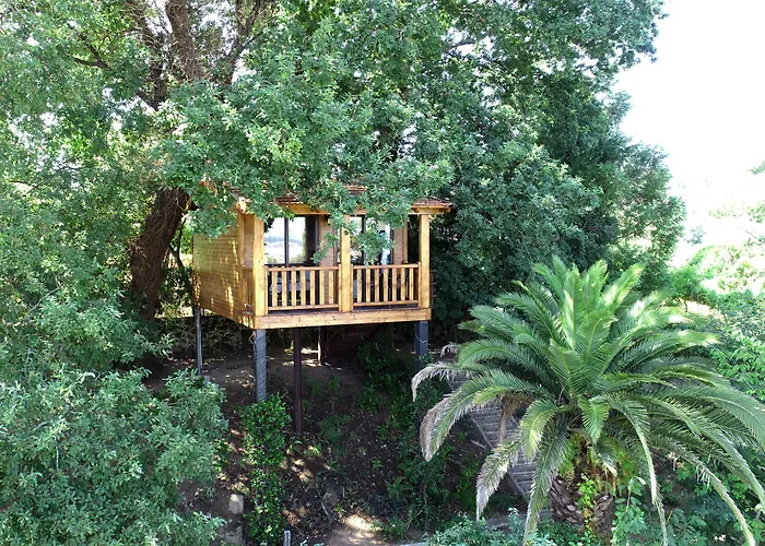 Quinta Do Padrao Casa de Campo Penafiel