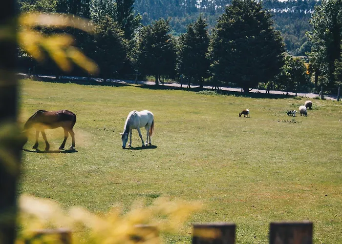 Casa de Campo Quinta Do Padrao